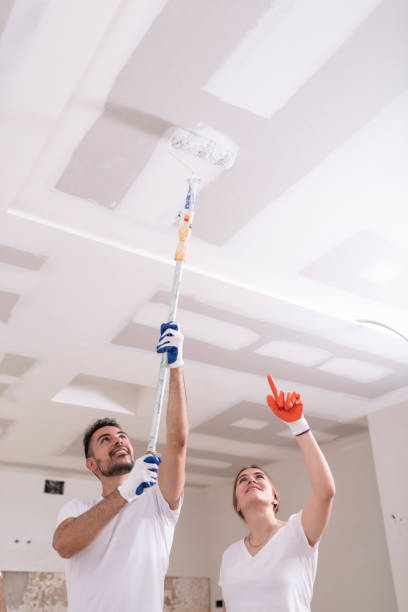 Best Black Mold Removal  in Kewanee, IL